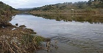 Rio Bembezar.jpg